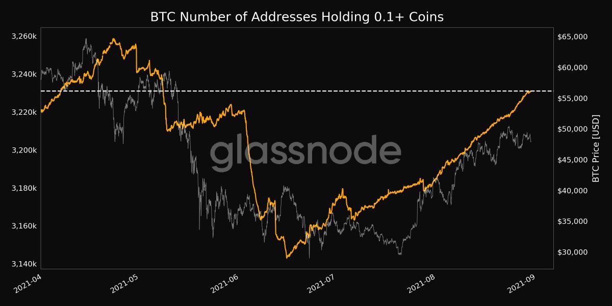 Media z wpisu glassnode alerts