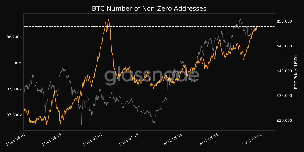 Media z wpisu glassnode alerts