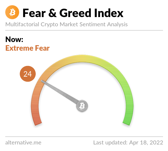 Media z wpisu Bitcoin Fear and Greed Index