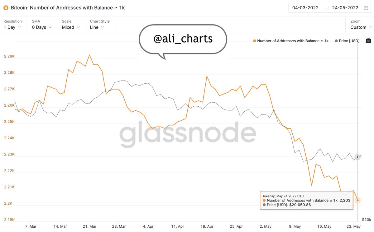 Media z wpisu Ali Charts
