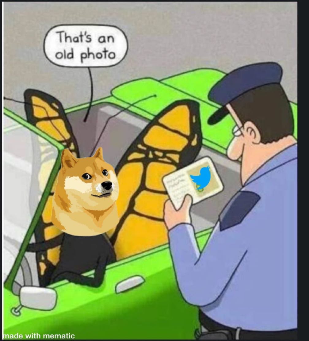 Media z wpisu Elon Musk
