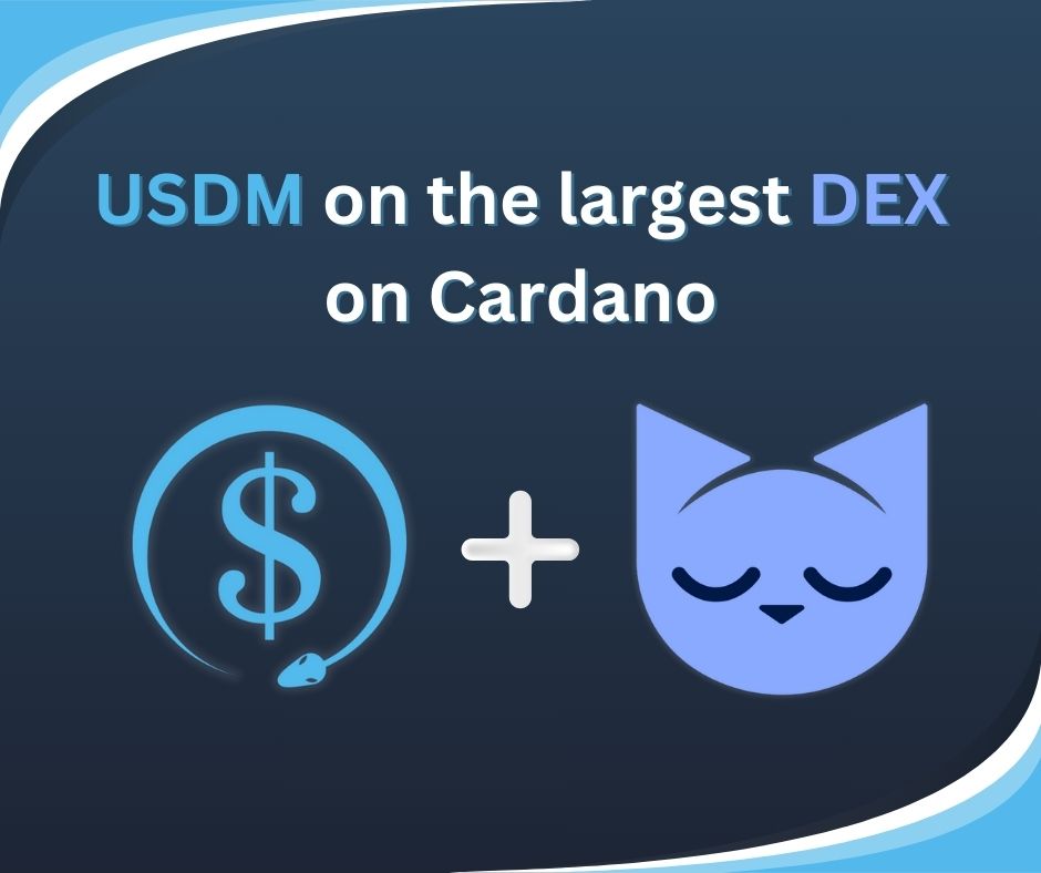 Media z wpisu USDM on Cardano
