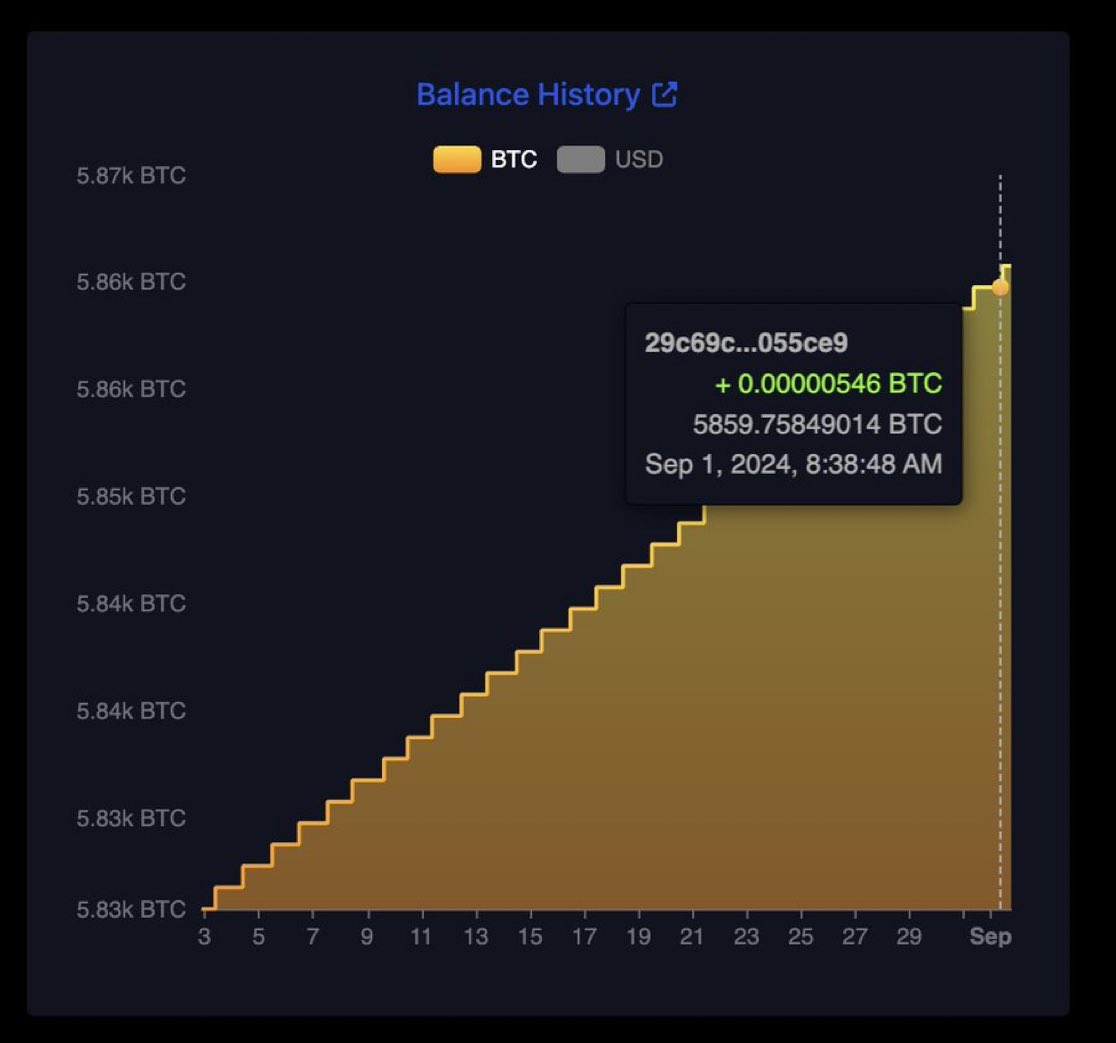 Media z wpisu Bitcoin Archive