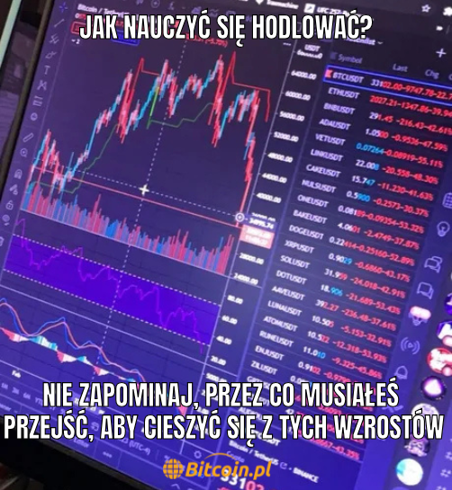 Media z wpisu Bitcoin.pl