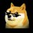 Avatar dogegod