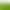 bitstamp