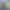 SejfBTC
