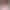 weibo