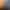 Tim Cook