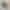 binance whitebit