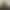 grayscale etf btc
