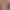 hamster kombat logo