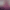 Sora 2