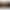 zondacrypto giveaway