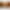 peter schiff dolar, dolary płoną