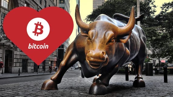 bull-bitcoin-love