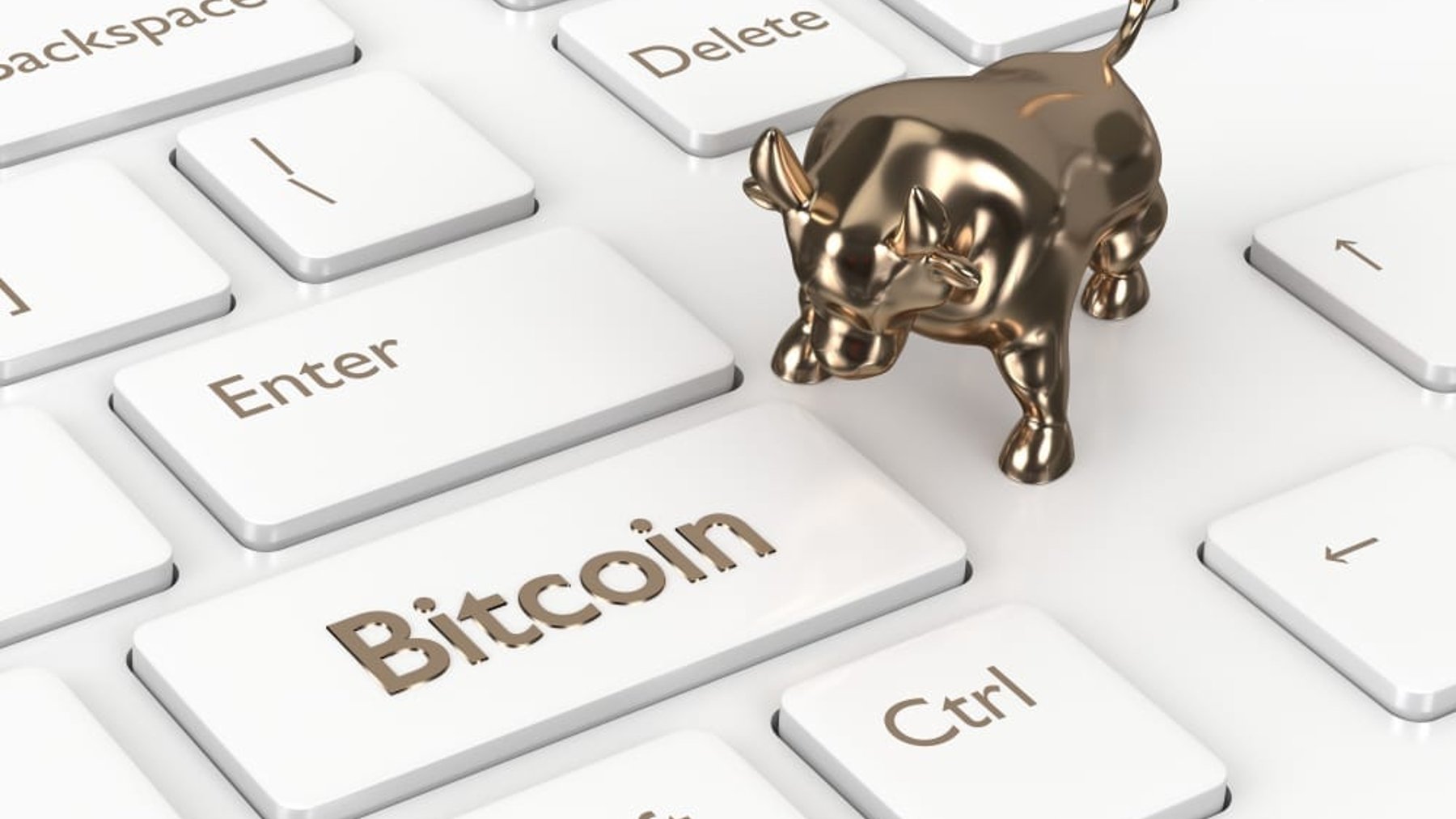 byk kliawisz bitcoin