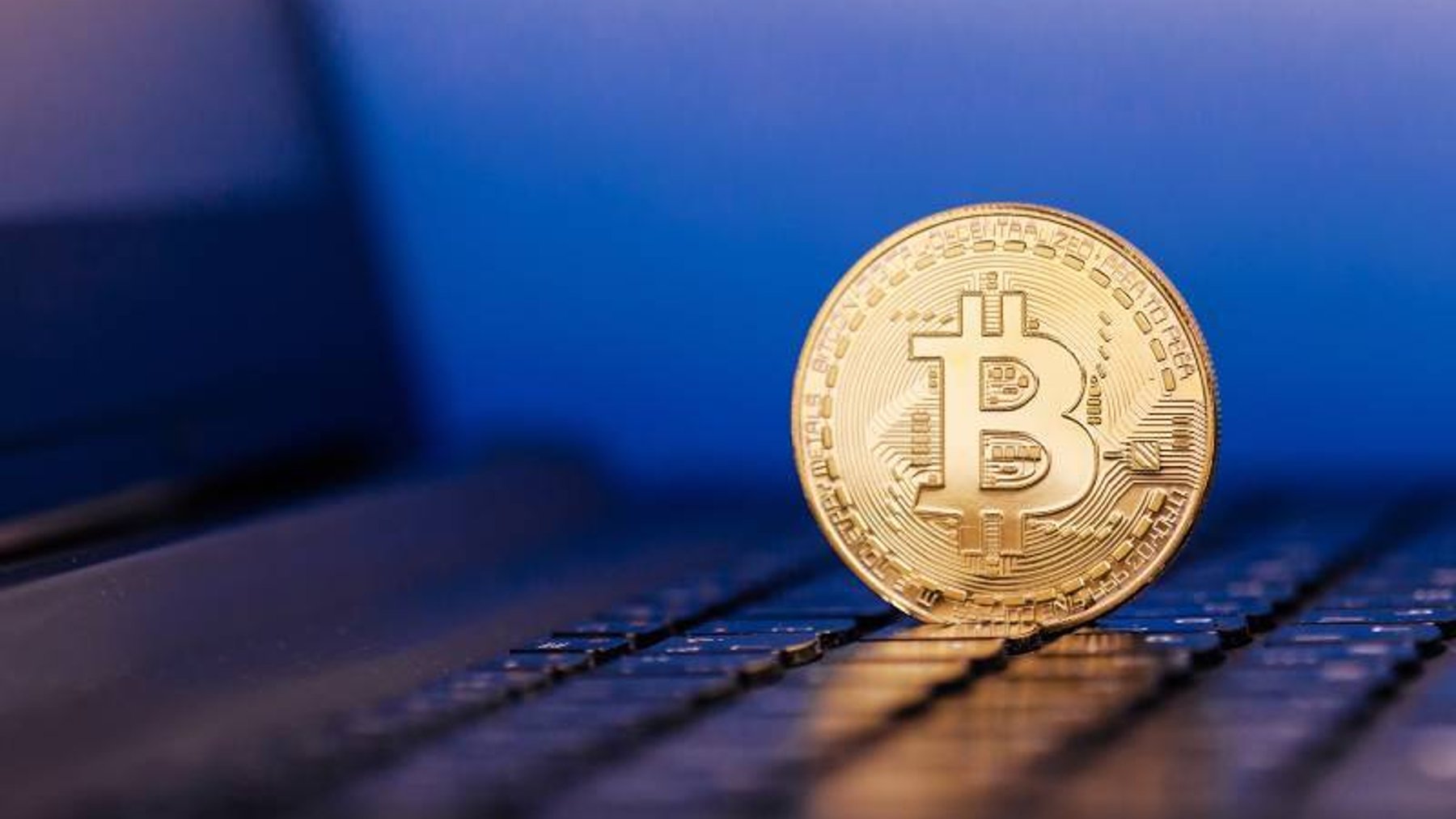 bitcoin wybory