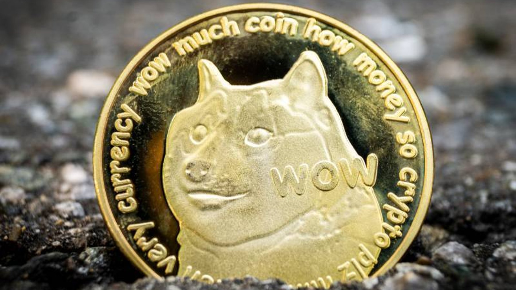 musk dogecoin
