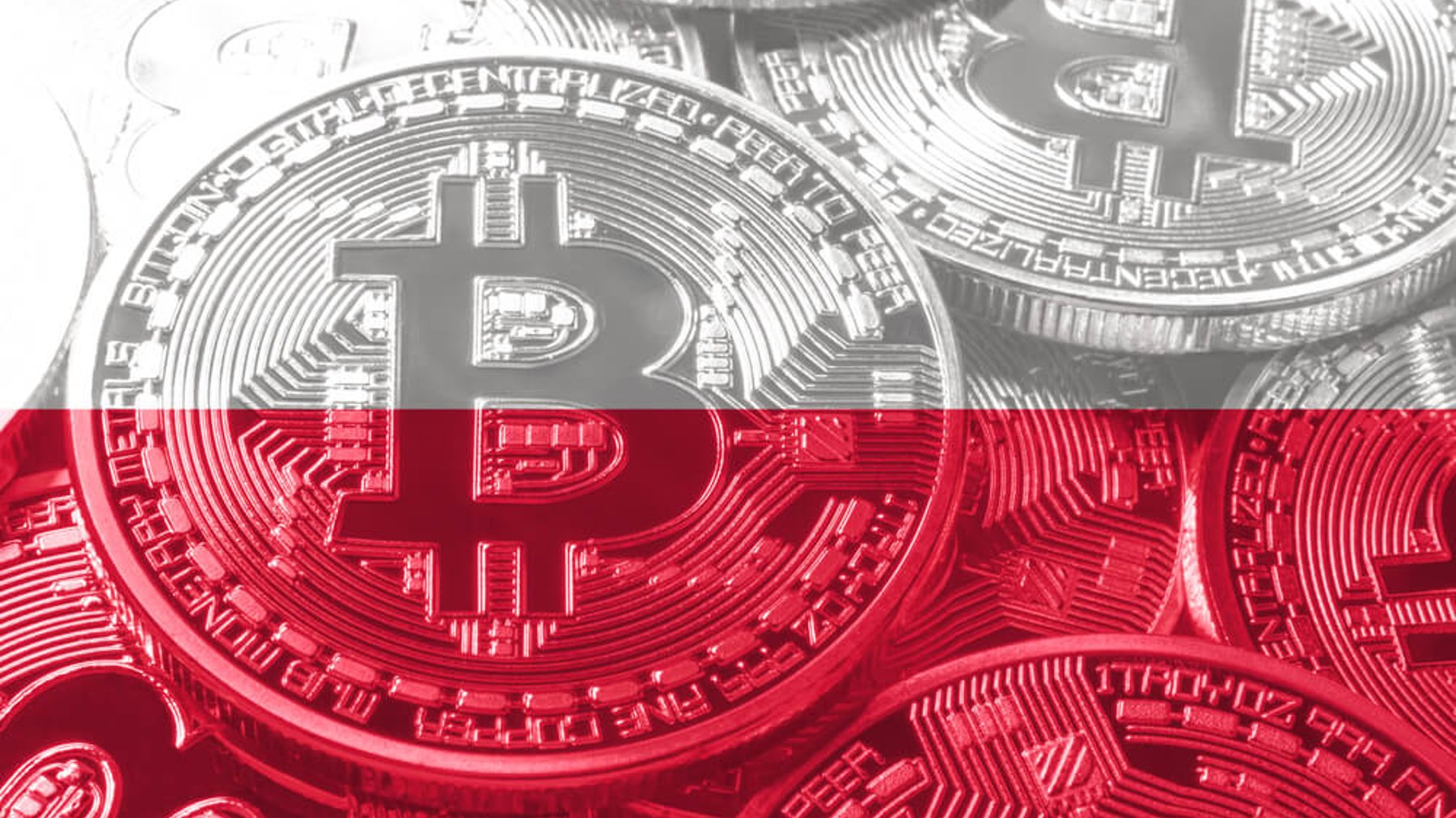 Polscy eksperci btc 2