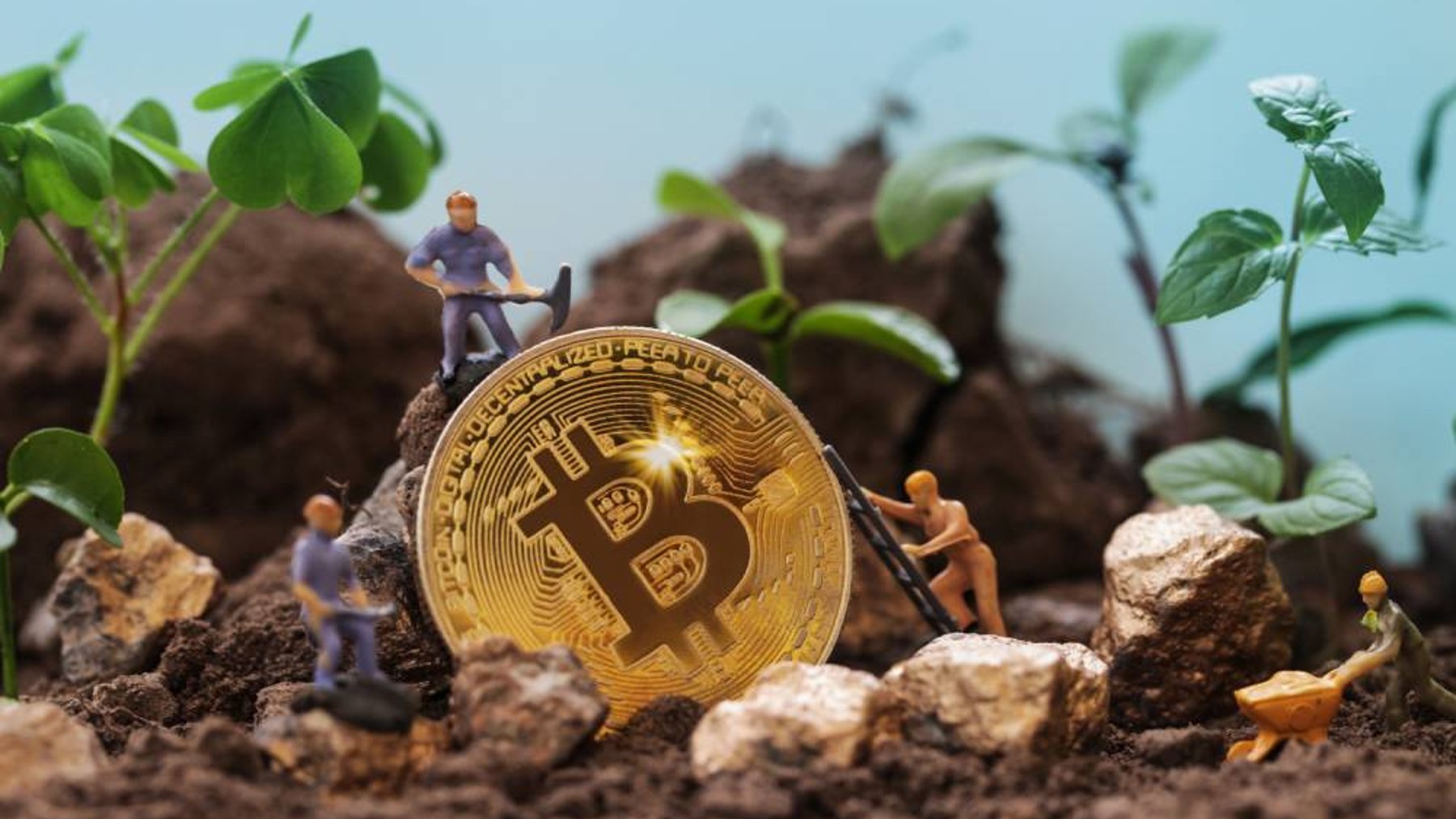 bitcoin srodowisko