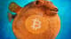 Blockchain-Bloat-2
