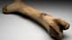 bone