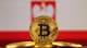 PolskaBitcoin1