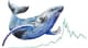 whale