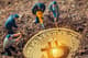 5 krajów, gdzie kopanie kryptowalut jest najtańsze