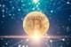 bitcoin tim draper