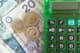 Wzrost polskiego PKB spadnie w 2020 r. do 3 proc. - prognozują analitycy
