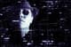 darknet kryptowaluty