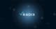 radix blockchain