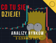 Bitcoin szybko masakruje inwestorów