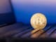 bitcoin wybory