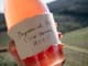 Toscanizzazione - stokenizowana ziemia i wino
