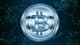 bitcoin adopcja