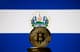 bitcoin salwador