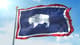 DAO Wyoming
