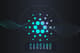 bitbay-cardano-ada