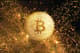 hodlerzy btc