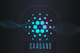Cardano
