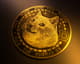 Brad Garlinghouse doge