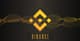 Binance wznawia wypłaty Dogecoina po interwencji Elona Muska bnb