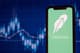 robinhood przychody