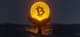 I krewetki i wieloryby wypłacają bitcoiny z giełd. Akumulacja na własnych portfelach trwa!
