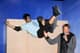tony hawk