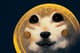 Kurs DOGE rośnie po uruchomieniu Dogechain