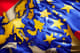 Europejski Bank Centralny wybrał firmy, które pomogą w pracach nad CBDC